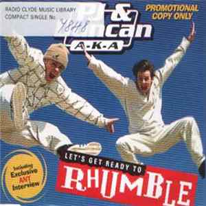 PJ & Duncan - Let's Get Ready To Rhumble FLAC album