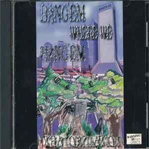 Various - Bang 'Em Where We Hang 'Em Tha Compilation FLAC album