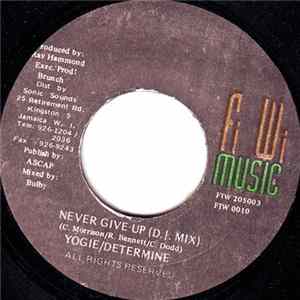 Yogie & Determine - Never Give Up FLAC album