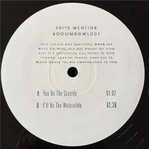 Frits Wentink - BODOMRGWLD01 FLAC album
