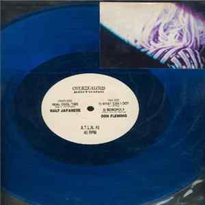 1/2 Japanese / Don Fleming - Untitled FLAC album