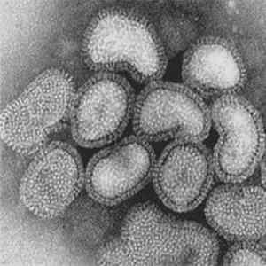 Sturmaz - Virus FLAC album