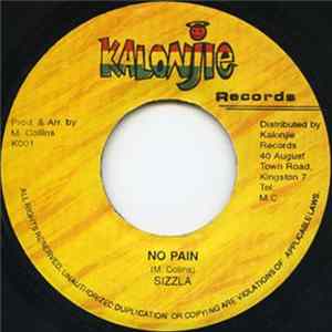 Sizzla - No Pain FLAC album