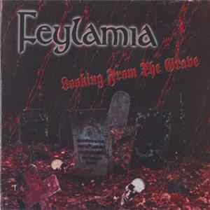 Feylamia - Looking From The Grave FLAC album