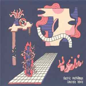Electric Anthillman - Concrete Pelvis FLAC album