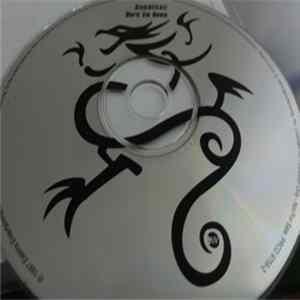 Sick Of It All - Burn 'Em Down FLAC album