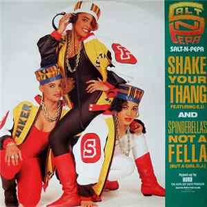 Salt 'N' Pepa - Shake Your Thang / Spinderella's Not A Fella (But A Girl DJ) FLAC album