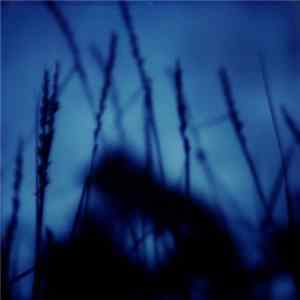 Oh, Birds! - Mo(u)rning FLAC album
