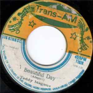 Teddy Magnus - Beautiful Day FLAC album