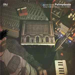 Sylvain Daniel - PALIMPSESTE Voyage imaginaire dans les ruines de Detroit FLAC album