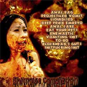 Various - Shitnoise Compilation FLAC album