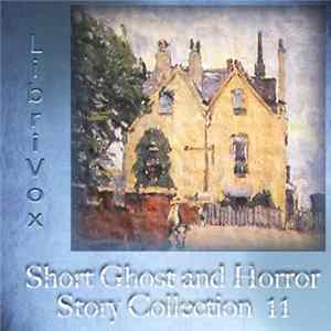 Various - Short Ghost And Horror Story Collection 11 FLAC album