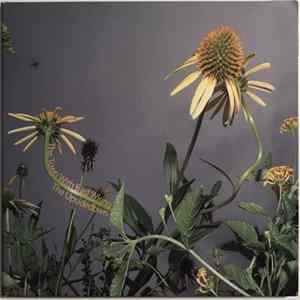 The Upsidedown - The Town With Bad Wiring FLAC album