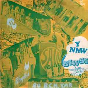 Y Nhw - Siwsi FLAC album