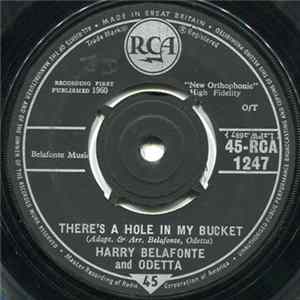 Harry Belafonte And Odetta - There's A Hole In My Bucket / Chickens FLAC album