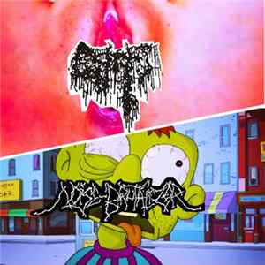 Cunts / Noise Brutalizer - Cunts / Noise Brutalizer FLAC album