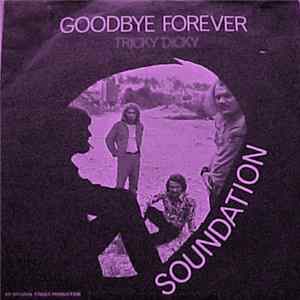 Soundation - Goodbye Forever FLAC album
