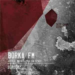 Borka FM - Arctic Moon / Lost In Space FLAC album