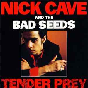 Nick Cave And The Bad Seeds - Tender Prey FLAC album