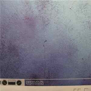 Wink - Are You There... FLAC album
