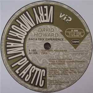 David Howard - Bag A Trix Experience FLAC album