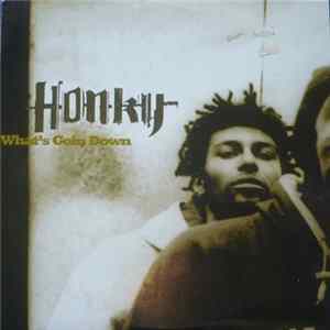 Honky - What's Goin Down FLAC album