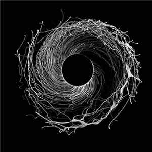 Dawn Of Midi - Dysnomia FLAC album