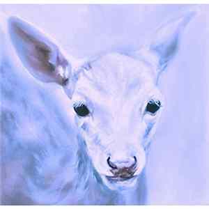Madeleine Hunt - Scared Of The Sky FLAC album
