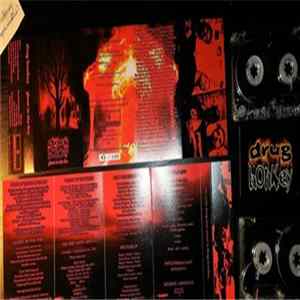 Drug Honkey - Ghost In The Fire FLAC album