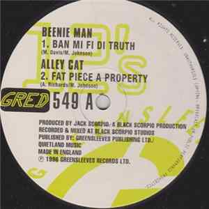 Beenie Man - Ban Mi Fi Di Truth FLAC album