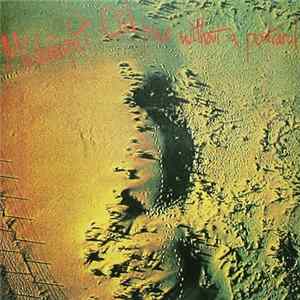 Midnight Oil - Place Without A Postcard FLAC album