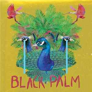 Vertical - Black Palm FLAC album