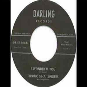 Terrific Sinai Singers - Fly In These Bones Of Mine / I Wonder If You FLAC album