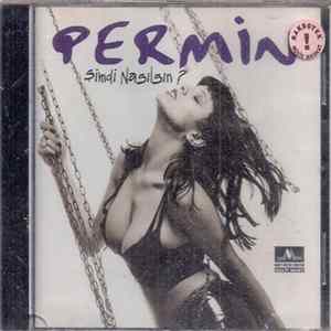 Permin - Şimdi Nasılsın? FLAC album