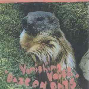 The Vanishing Voice - Daze On Days FLAC album