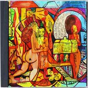 Infinito 2017 - The Depth Of Field Type Revolt FLAC album
