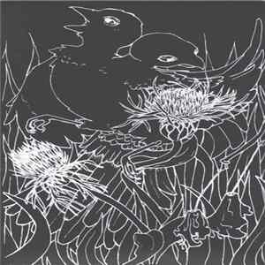 Lebenden Toten - Undead Noise Transmission FLAC album