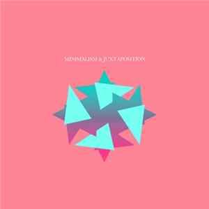 Various - Minimalism & Juxtaposition FLAC album