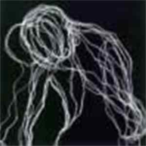 Mammal - Fog III FLAC album