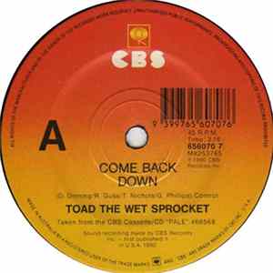 Toad The Wet Sprocket - Come Back Down FLAC album