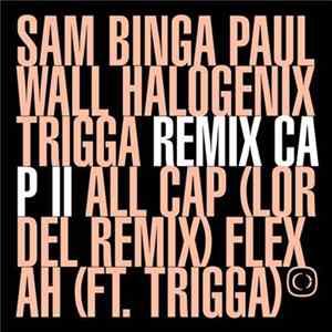 Sam Binga - If The Cap Fits: Remixes part 2 FLAC album