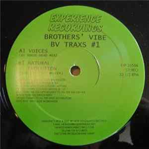 Brothers' Vibe - BV Traxs #1 FLAC album