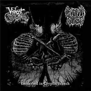 Violent Scum / Coffin Curse - Immersed In Cryptic Stench FLAC album