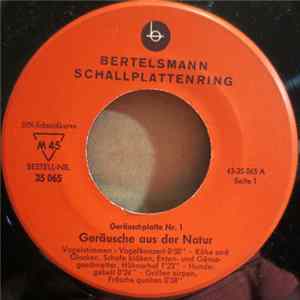 No Artist - Geräuschplatte Nr. 1 - Geräusche Aus Der Natur FLAC album