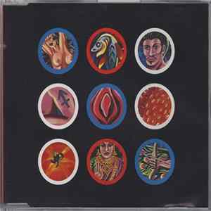 Various - The Cosmic Feast / Songs Of Seduction FLAC album