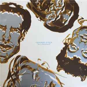 Orange Juice - In A Nutshell FLAC album