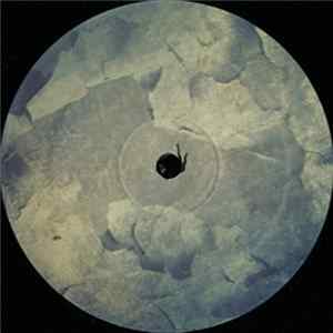 Roberto Rodriguez - Survive (I Will) FLAC album
