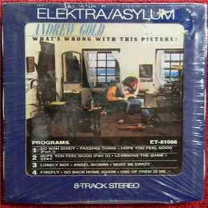 Andrew Gold - What's Wrong With This Picture? FLAC album