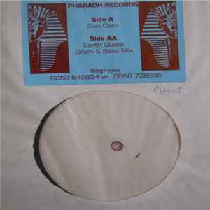 2 Damn Rude - Zion Gate / Earth Quake (Drum & Bass Mix) FLAC album