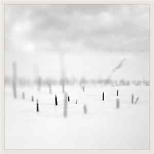 Taylor Deupree + Marcus Fischer - In A Place Of Such Graceful Shapes FLAC album